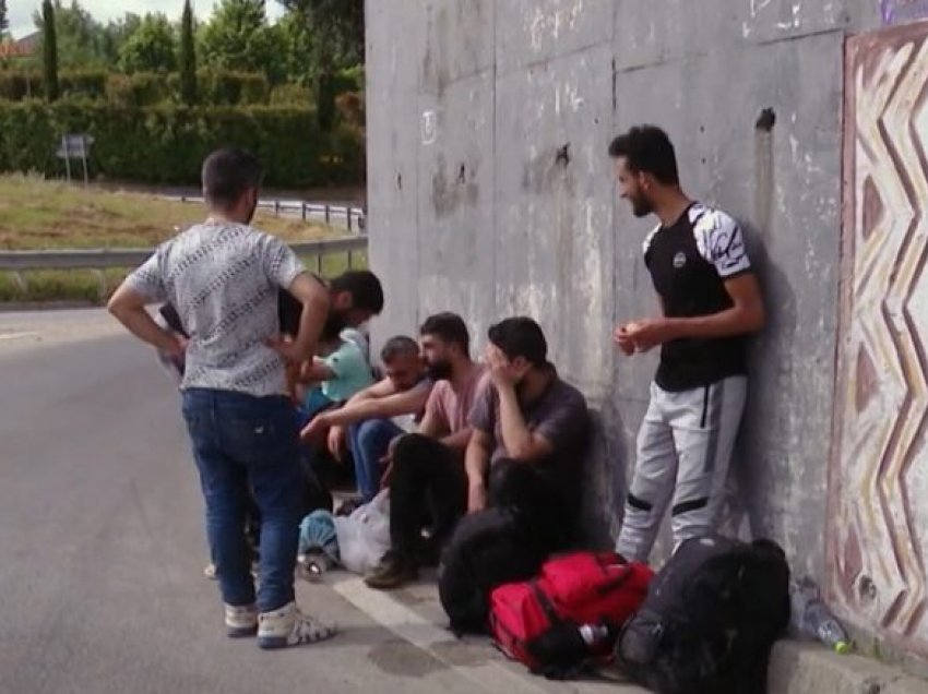 Shqipëri - Pandemia ul numrin e azilkërkuesve