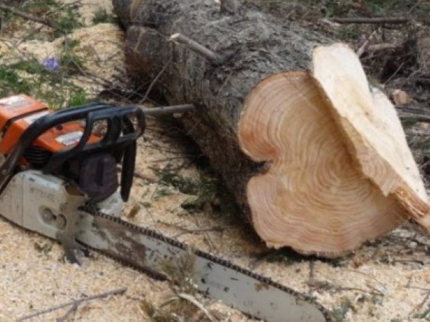 I ikën policisë së Kosovës shkon në Serbi, Gjilanasi që po kontrabandonte dru 