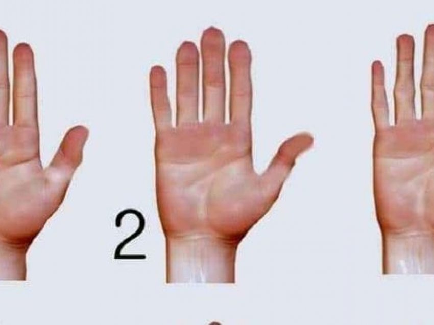 Ja se çfarë tregon forma e dorës për ju!