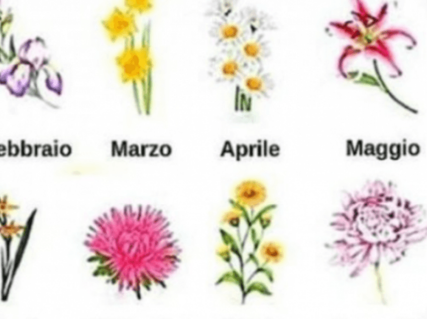 Lexoni mesazhin që ka për ju njëra nga këto lule