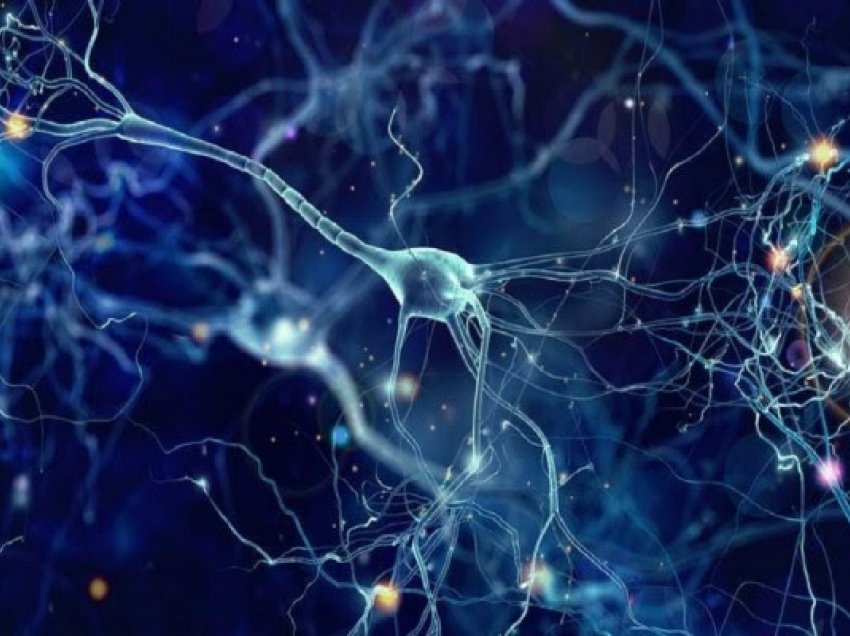 Shkencëtarët regjistrojnë për herë të parë se si truri 