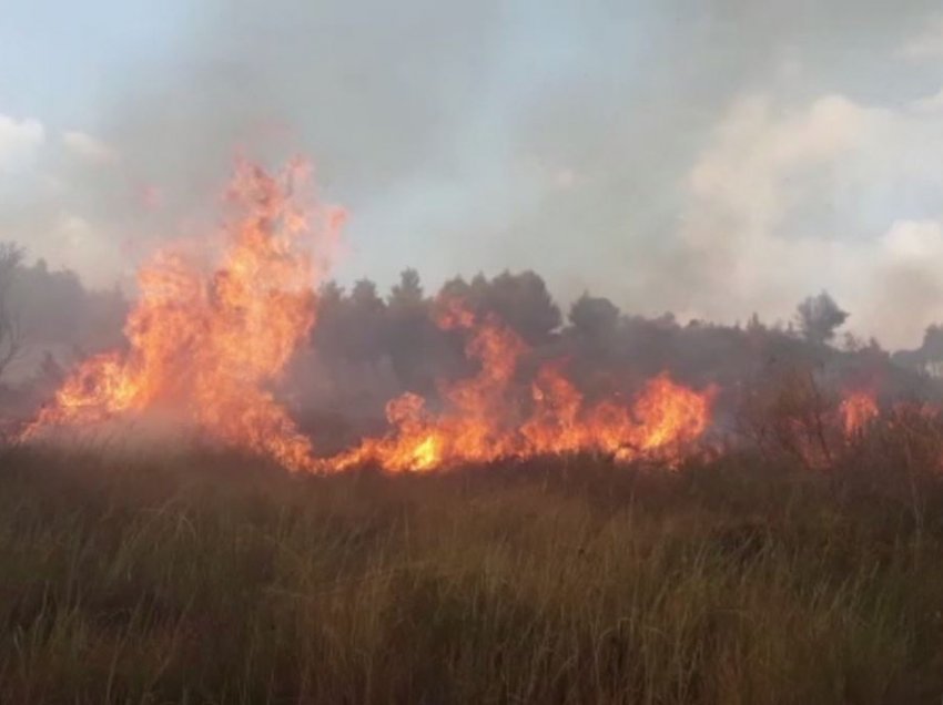 Në fshatin Kutal mbi 10 ha pyje të djegura, shuhet zjarri pas 20 orësh
