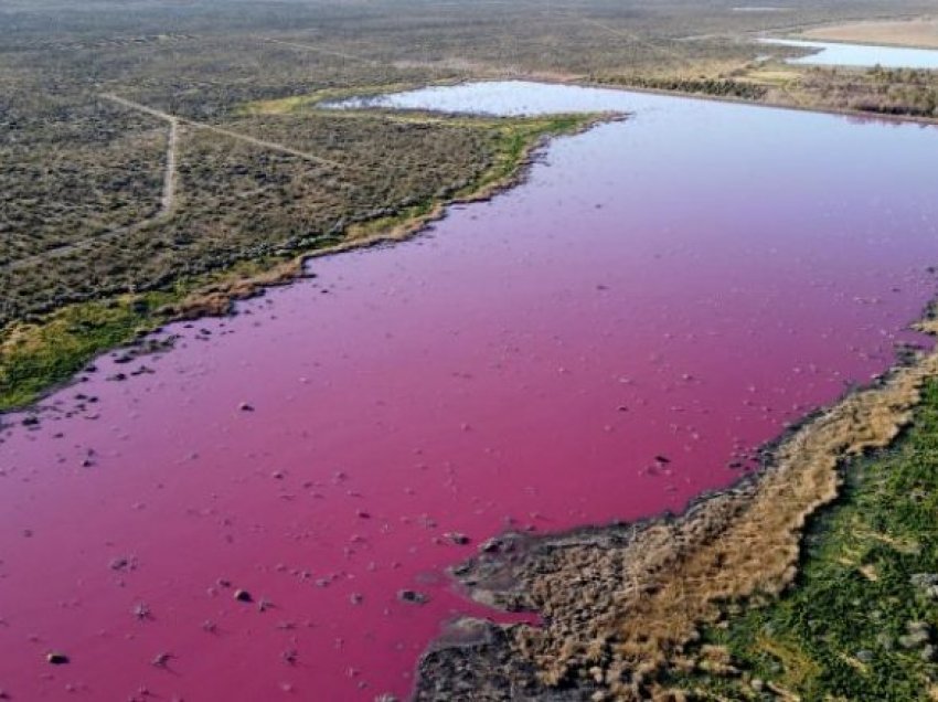 Një liqen merr ngjyrë roze, shqetësohen ambientalistët në Argjentinë