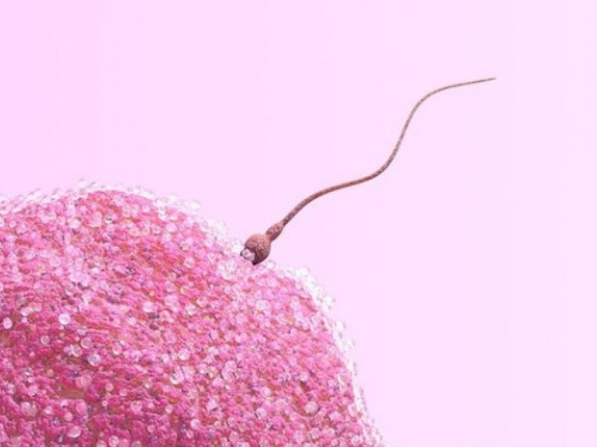 7 fakte të besuara për spermën, që në fakt janë të gabuara