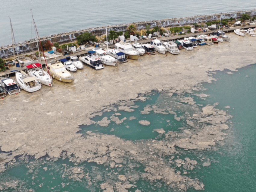 Turqia zotohet të pastrojë mukozën e Detit Marmara