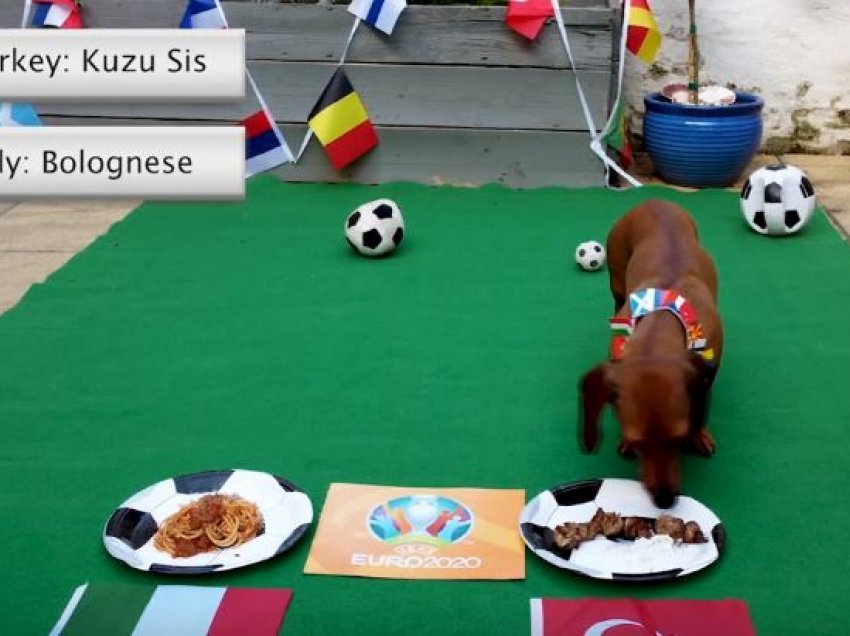 Ndeshja e parë Euro 2020, qeni “predikues” jep parashikimin