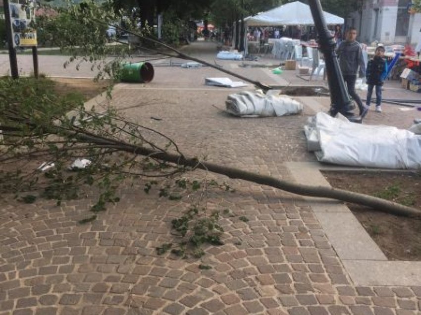 Erërat e forta dëmtojnë pemët dhe shtyllat elektrike në sheshin e Pejës