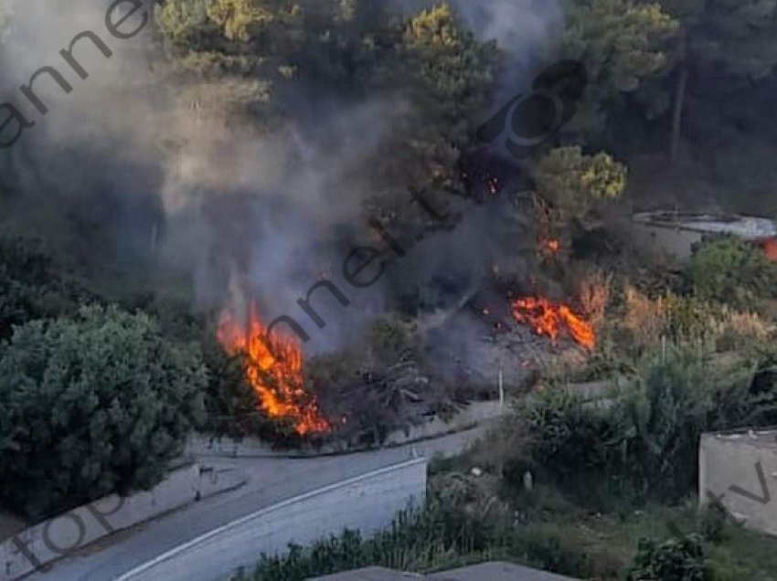Digjen shkurre dhe pisha nga zjarri në Kodër-Vilë të Durrësit, nisin hetimet për flakët