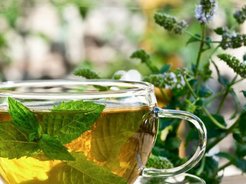 Zbuloni 8 përfitimet shëndetësore të çajit me mente