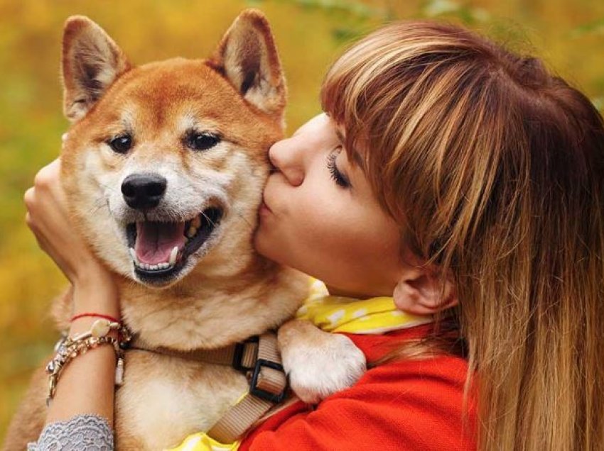 Pse duhet të ndaloni së puthuri kafshët tuaja shtëpiake