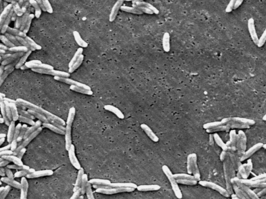 Teknologji e re kundër bakterieve në sipërfaqet e objekteve
