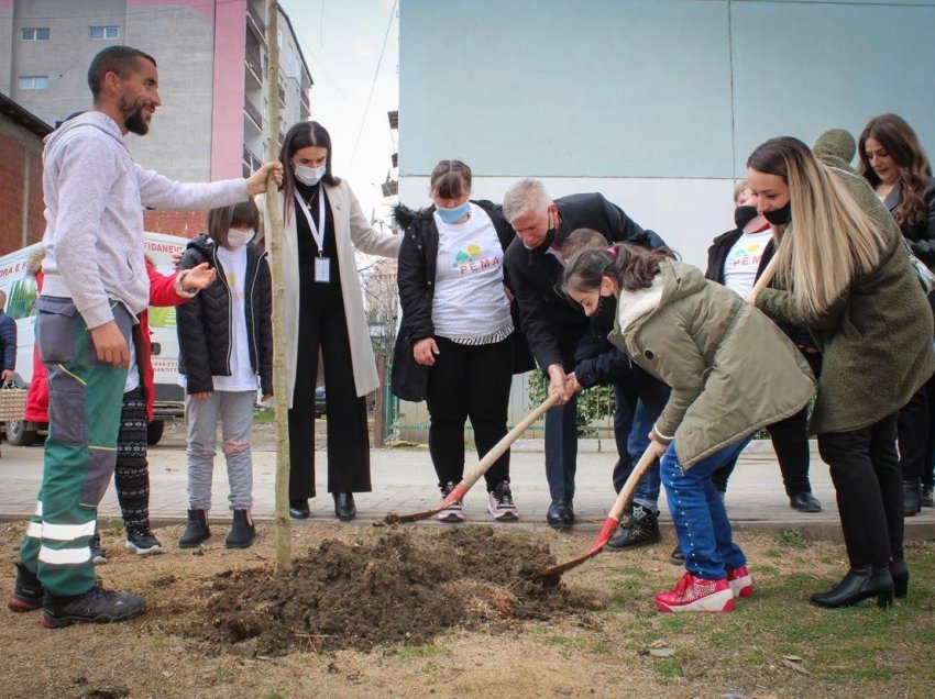 Gjilani shënon Ditën ndërkombëtare të personave me sindromin down me mbjelljen e 21 fidaneve