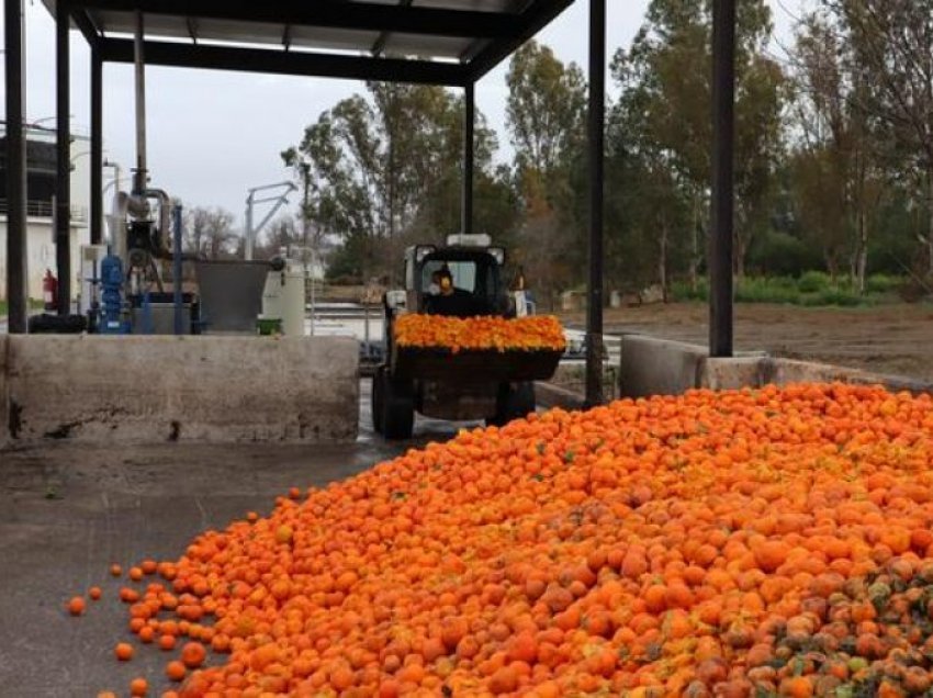 Sevilla përdor portokajtë për të gjeneruar energji elektrike
