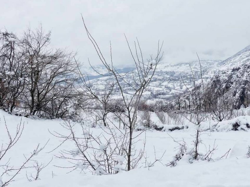 Vijojnë reshjet e borës në Librazhd, rrugët të kalueshme