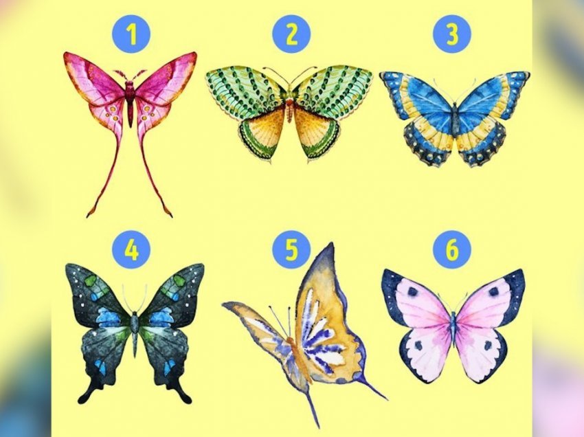 Test psikologjik: Zgjidhni një flutur dhe zbuloni anët e fshehura të personalitetit tuaj
