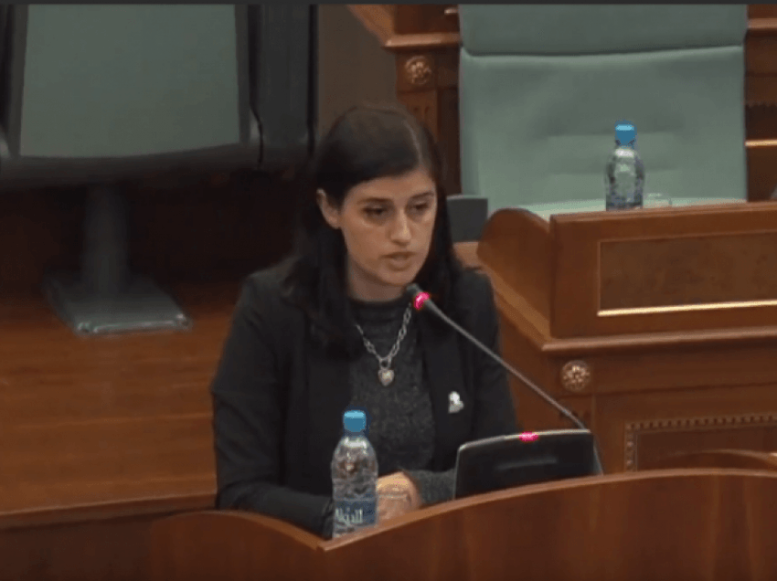 Bogujevci: Do ta shtyjmë përpara Projektligjin kundër dhunës në familje