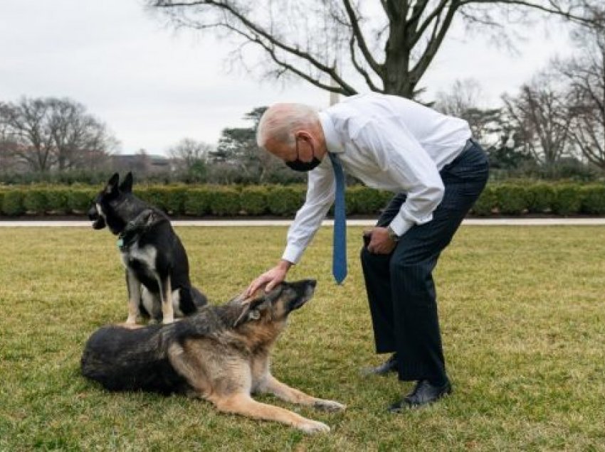Qeni i Presidentit Biden kthehet në Shtëpinë e Bardhë