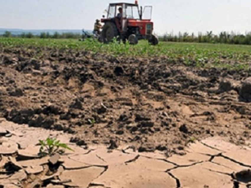 Sindikata e pavarur e bujqve në Maqedoni: Shteti të mos i ndërpresë marrëveshjet për qira të tokave