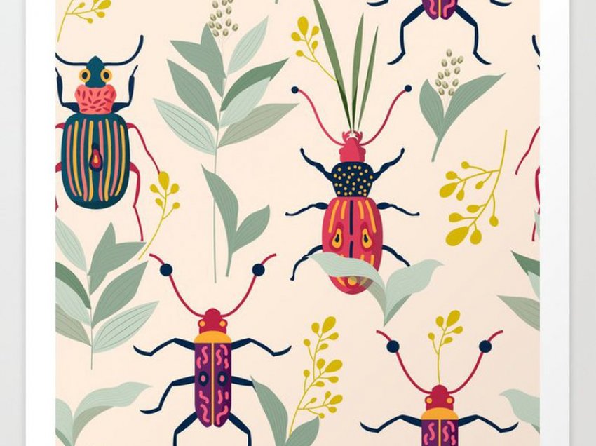 7 arsye pse shtëpia juaj mund të jetë një vatër për insektet – dhe si t’i ndaloni