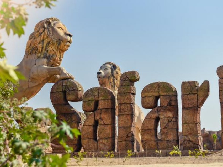 Dy luanë rezultojnë pozitivë për COVID-19 në një park zoologjik në Indi