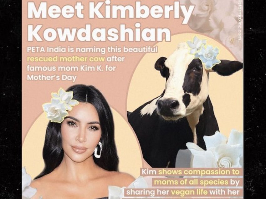 Në Indi një lope i vendosin emrin ‘Kim Kardashian’!
