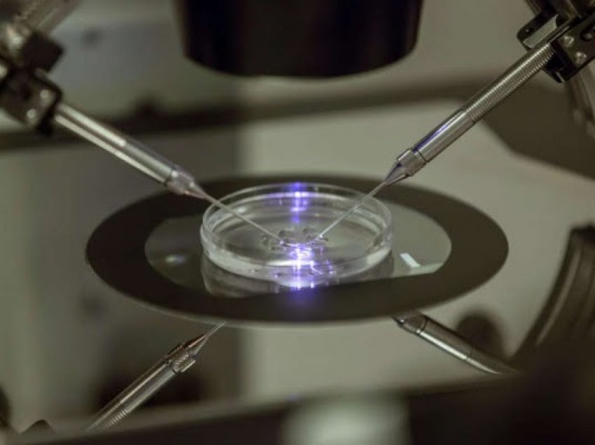​A duhet lejuar shkencëtarët të rrisin embrione njerëzore për më shumë se 14 ditë?
