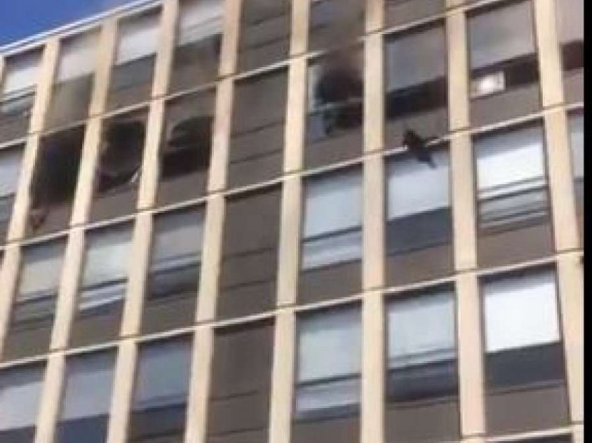 Macja kërcen nga kati i pestë i ndërtesës që po digjej, bie me këmbë në tokë pa asnjë lëndim