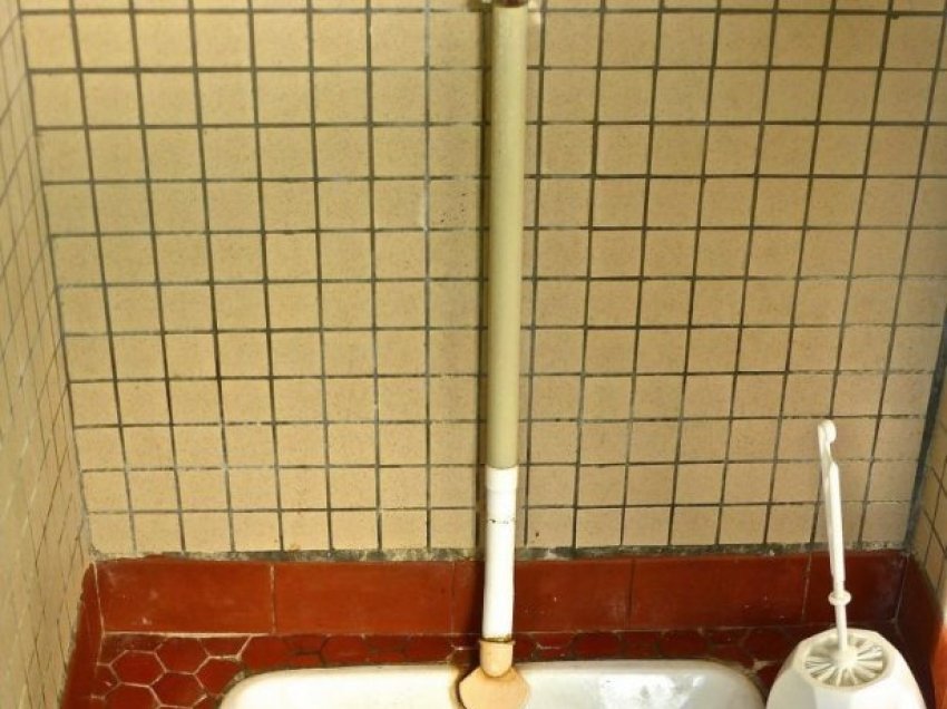 Punëtorët e kafenesë gjejnë një piton të madh në tualet