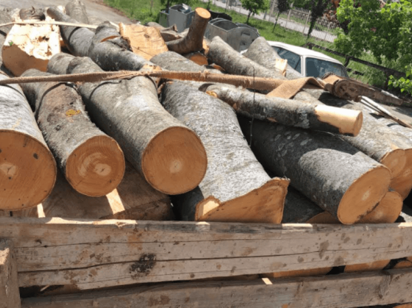 “Mbrojtja e pyjeve 2021”, vazhdon aksioni i Policisë në Ferizaj