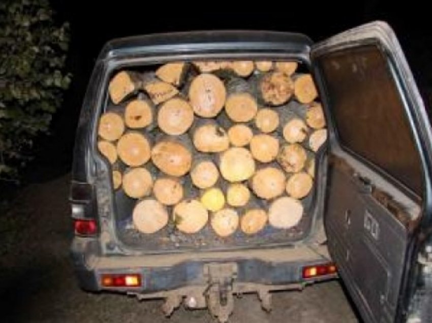Po transportonin dru në mënyrë ilegale, ndalohen tre persona në Podujevë