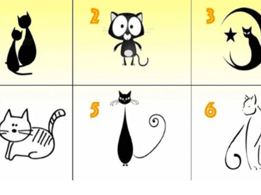 Test / Macja që ju zgjidhni zbulon tiparet dominuese të karakterit tuaj