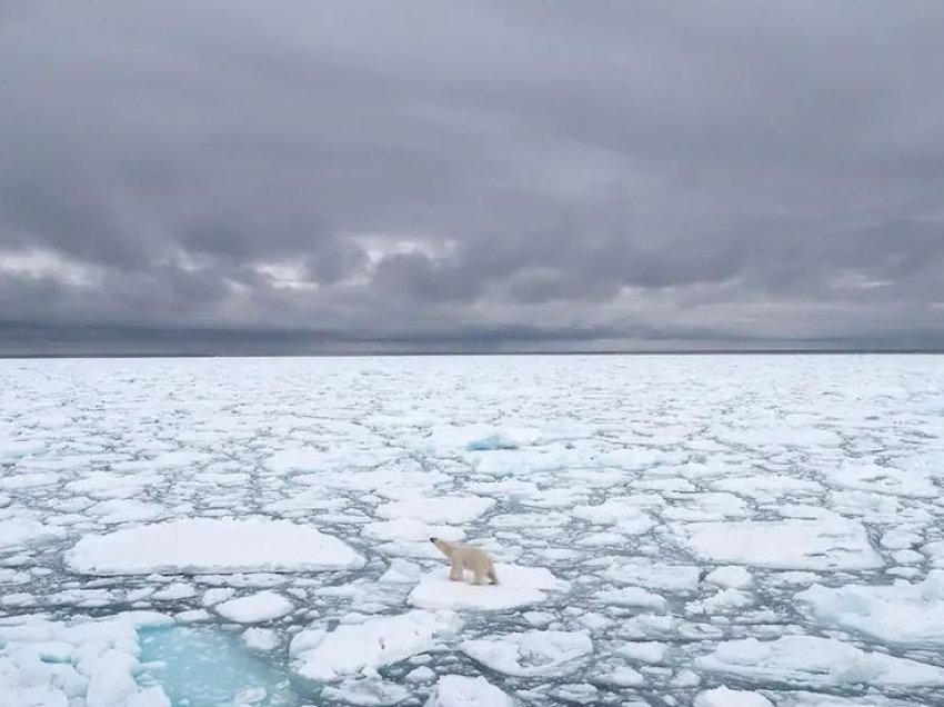 Arktiku po ngrohet tri herë më shpejt se planeti që nga viti 1971