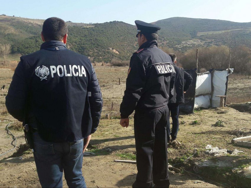 Operacioni masiv antikanabis/ Policia arreston 16 persona, 24 shpallen në kërkim