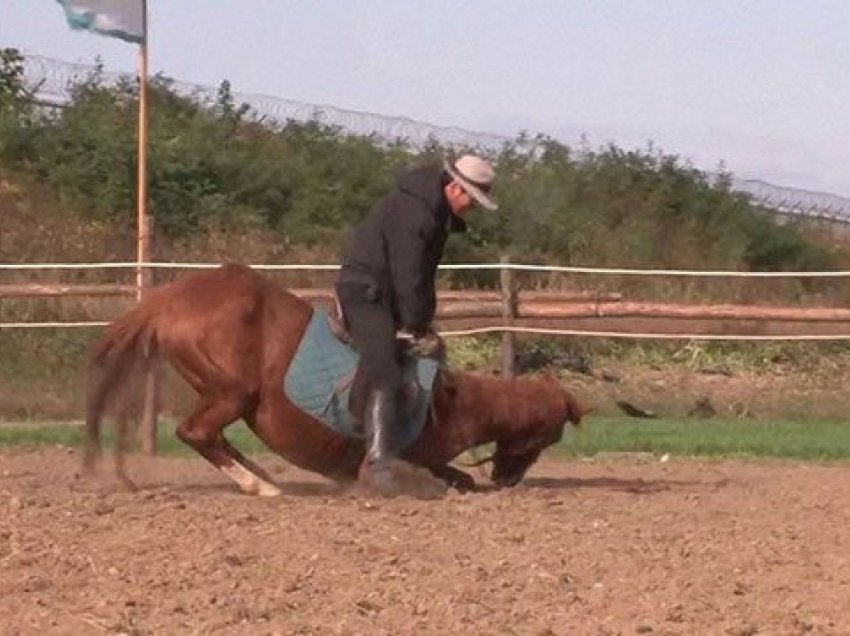 Rrëzohet nga kali, humb jetën 75-vjeçari 