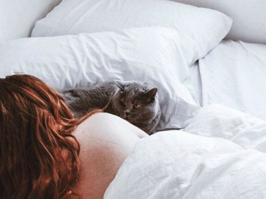Çfarë duhet të keni parasysh nëse flini me macen tuaj në shtrat?