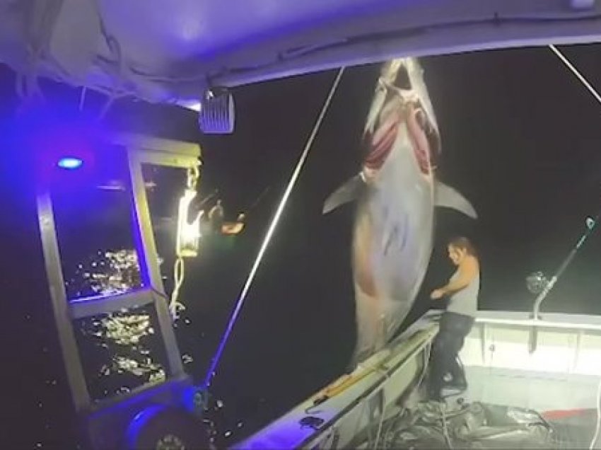 Gruaja kap peshkun 272 kg, shikoni si lufton për ta futur në anije