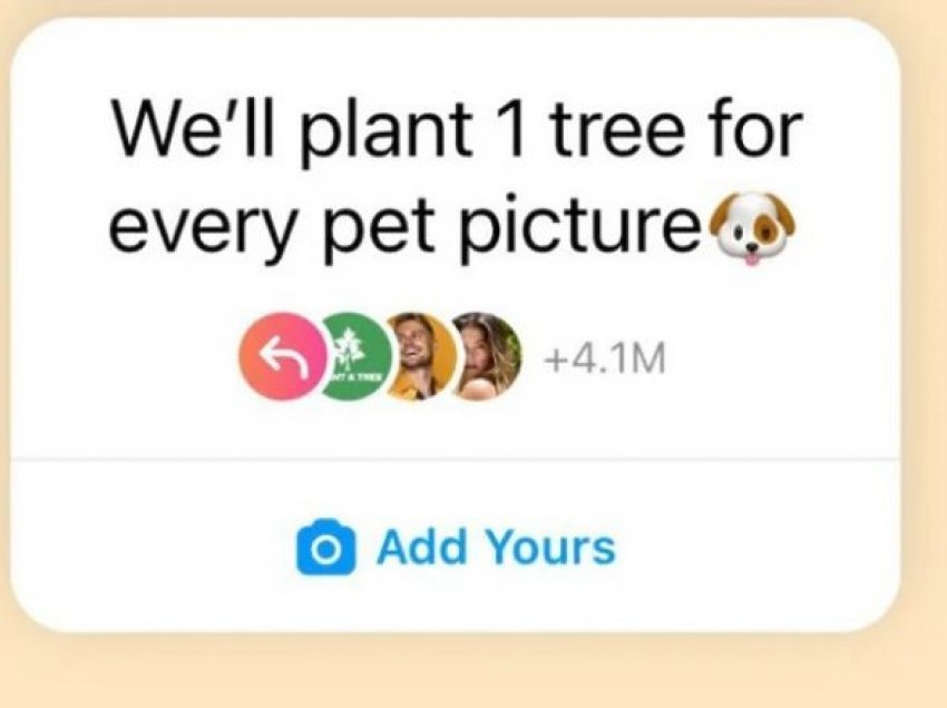 Kush qëndron pas trendit viral në Instagram për mbjelljen e pemëve, dhe a do të realizohet premtimi i dhënë?