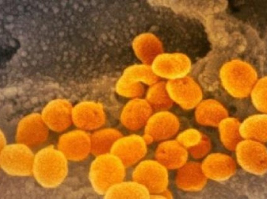 ​Zbulohet arsyeja pse disa njerëz mbeten negativë ndaj koronavirusit