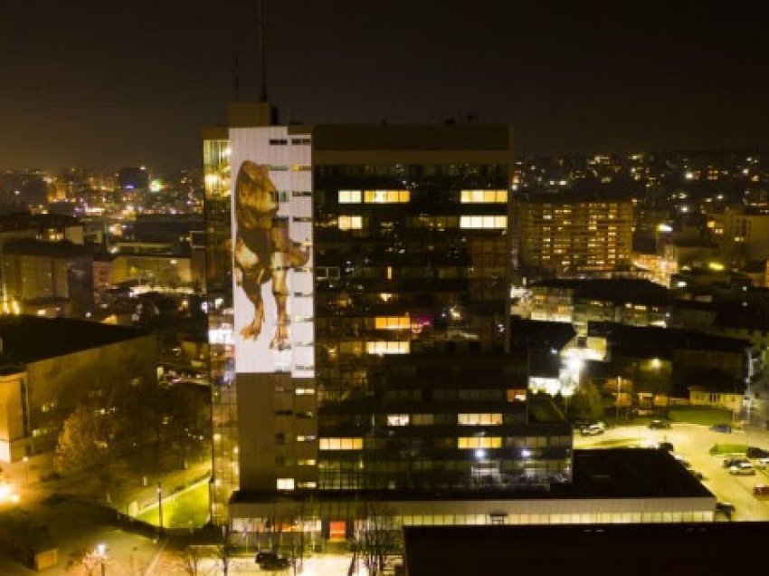 ​Në ndërtesë e Qeverisë projektohet figura e Dinos me mesazhin: Mos zgjidh shfarosjen