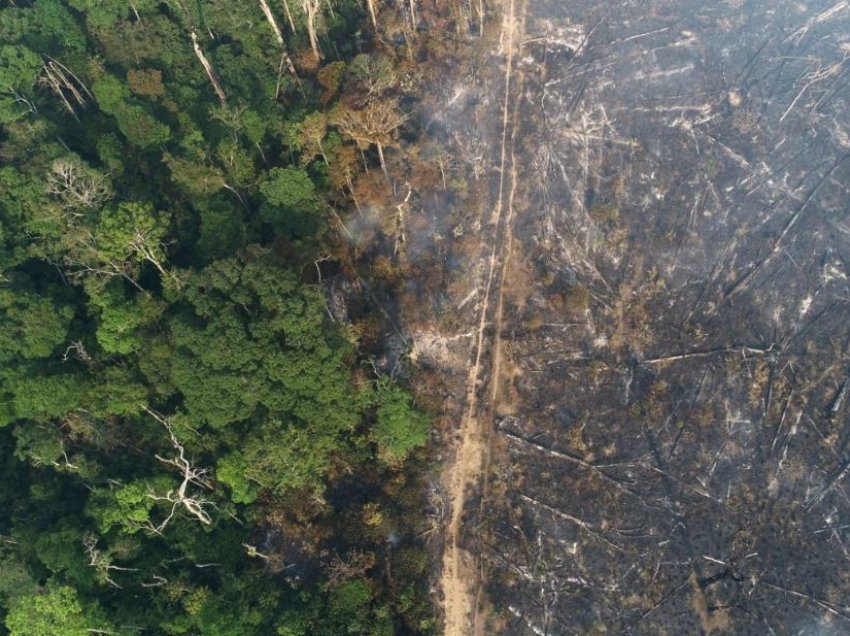 Amazona përjeton shpyllëzimin më të madh në 15 vjet