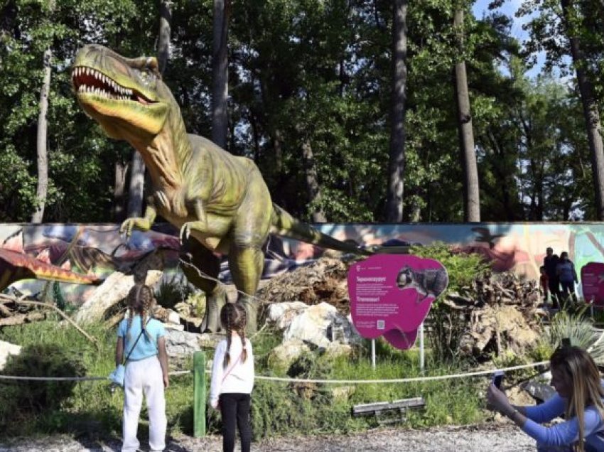 Shilegov: Kopshti zoologjik i Shkupit po bëhet atraksion turistik rajonal