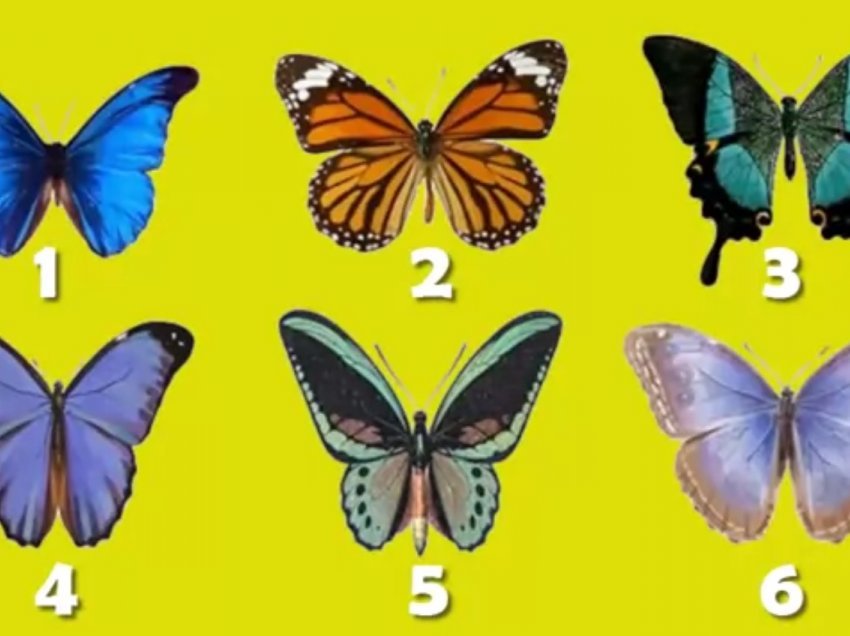 Testi i fluturave / Zgjidh atë që të pëlqen më shumë dhe zbulo veten