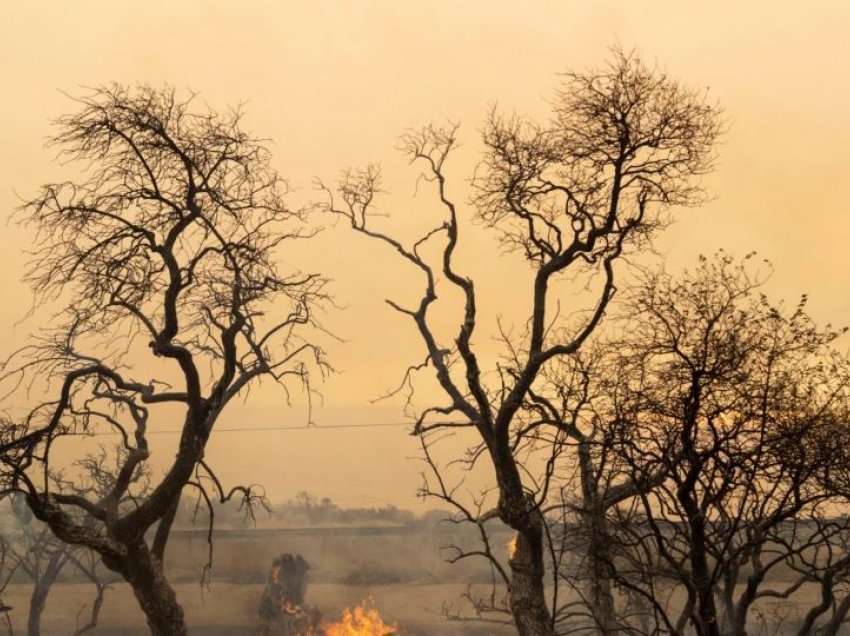 Vazhdojnë zjarret në Kaliforninë Jugore