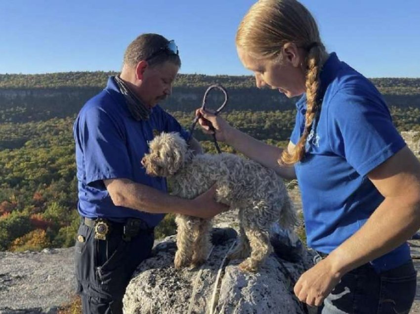 Shpëtohet i gjallë qeni i bllokuar për pesë ditë mes shkëmbinjve 