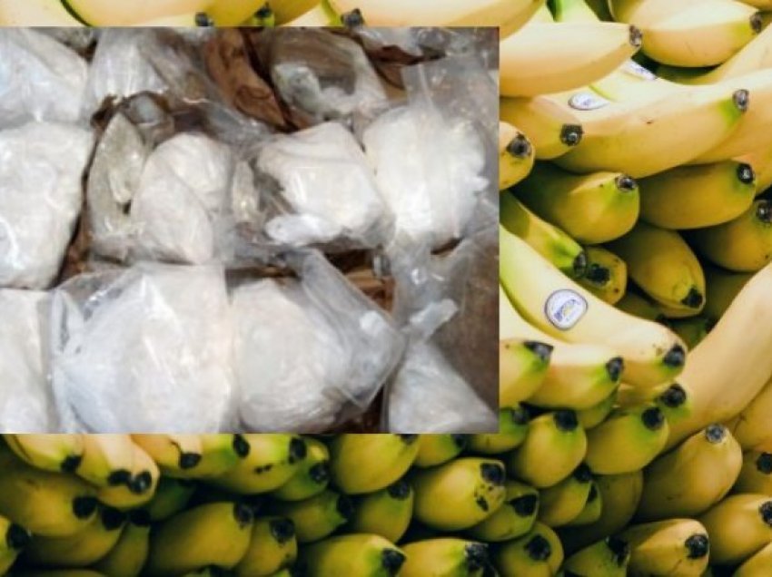 Bleu banane në treg, fermeri belg në to gjeti kokainë