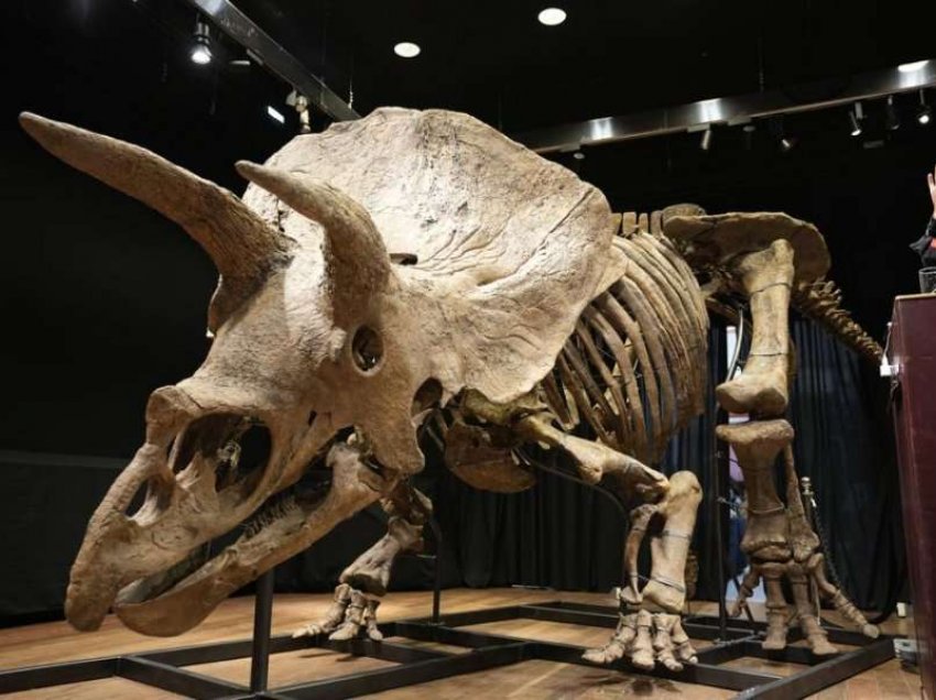 Shitet për 6,6 milionë euro skeleti më i madh i një dinosauri