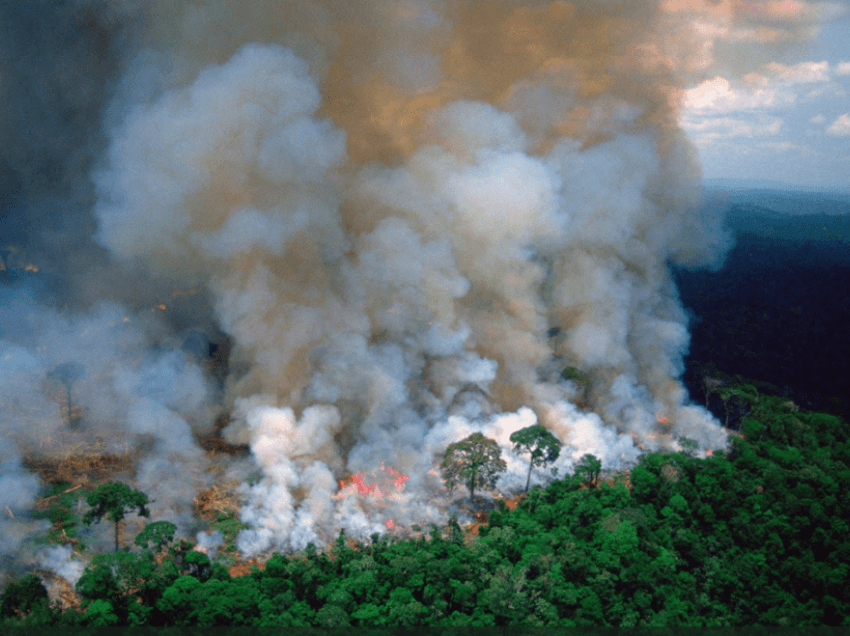 ‘Mushkëria e Tokës’ sërish nën flakë, zjarret masive djegin mijëra pemë në Amazonë