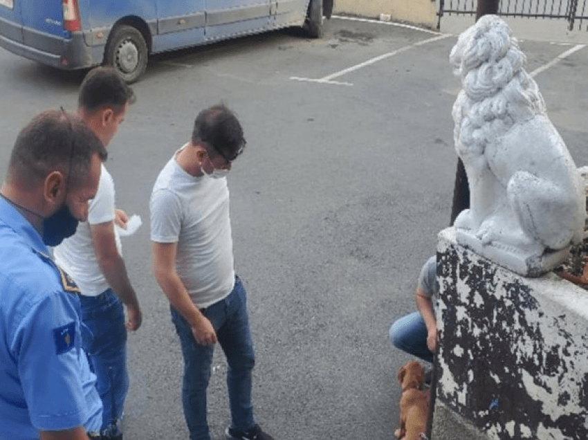 ​Pjesëtarit të KFOR-it ia vjedhin qenin në Prizren
