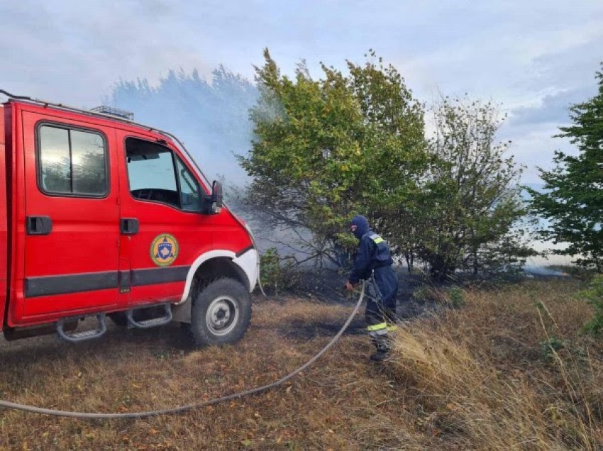 ​Shuhet zjarri në pyjet e fshatit Topillë
