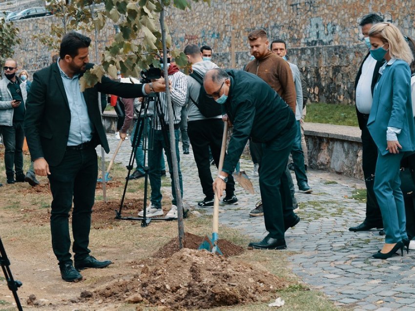 Totaj mbjell fidanë në Marash të Prizrenit: Kjo tregon korrjen e suksesshme më 17 tetor